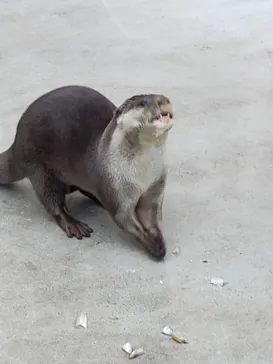 横浜・八景島シーパラダイスに投稿された画像（2022/1/22）