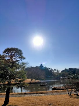 三溪園に投稿された画像（2022/1/22）