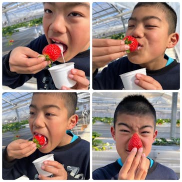 いのさんの観光農園に投稿された画像（2022/1/22）