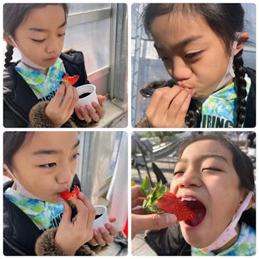 いのさんの観光農園に投稿された画像（2022/1/22）