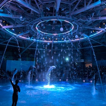 マクセル アクアパーク品川に投稿された画像（2022/1/22）