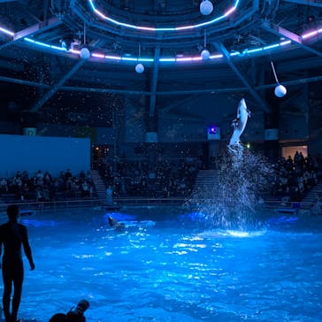 マクセル アクアパーク品川に投稿された画像（2022/1/22）