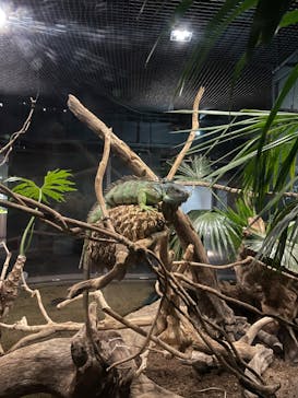 カワスイ 川崎⽔族館に投稿された画像（2022/1/22）