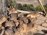 伊豆シャボテン動物公園に投稿された画像（2022/1/22）