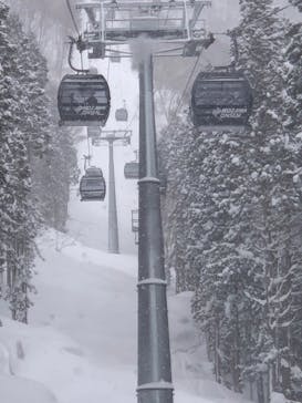 野沢温泉スキー場に投稿された画像（2022/1/22）