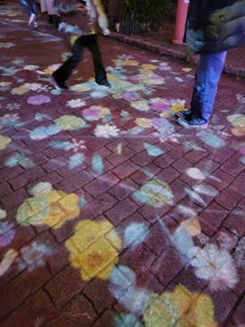 ポルトヨーロッパに投稿された画像（2022/1/22）