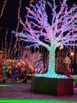 ポルトヨーロッパに投稿された画像（2022/1/22）