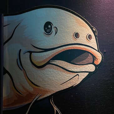 サンシャイン水族館に投稿された画像（2022/1/22）