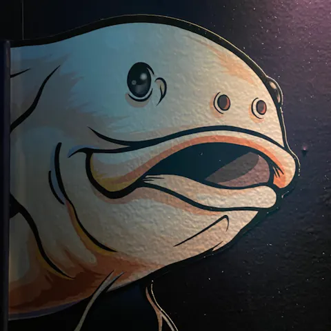 展示のイラストや手作りの模型が 鮫人 さまの口コミ アソビュー