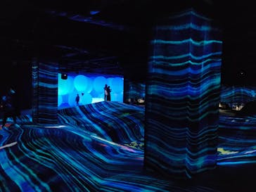 森ビル デジタルアート ミュージアム：エプソン チームラボボーダレスに投稿された画像（2022/1/22）