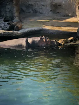 天王寺動物園に投稿された画像（2022/1/22）