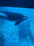 名古屋港水族館に投稿された画像（2022/1/23）