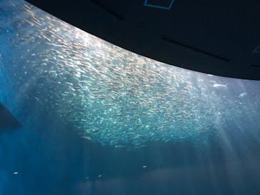 名古屋港水族館に投稿された画像（2022/1/22）