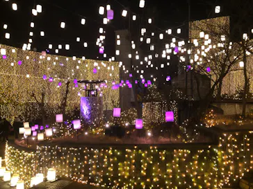 ひらかたパークに投稿された画像（2022/1/22）