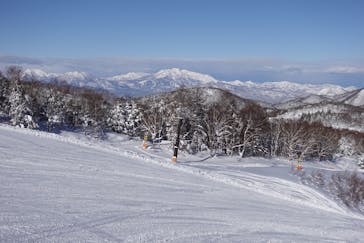 志賀高原中央エリアスキー場に投稿された画像（2022/1/22）