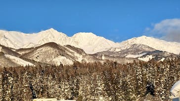 白馬八方尾根スキー場に投稿された画像（2022/1/22）