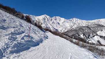 白馬八方尾根スキー場に投稿された画像（2022/1/23）