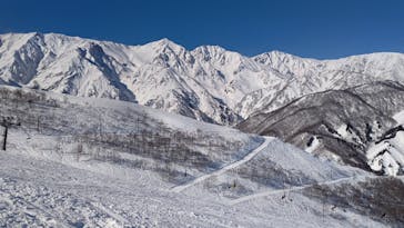 白馬八方尾根スキー場に投稿された画像（2022/1/23）