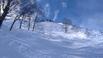 白馬八方尾根スキー場に投稿された画像（2022/1/23）