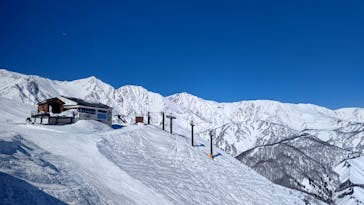 白馬八方尾根スキー場に投稿された画像（2022/1/23）