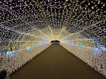 東京メガイルミに投稿された画像（2022/1/23）