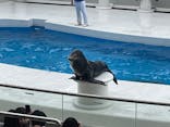 鴨川シーワールドに投稿された画像（2022/1/23）