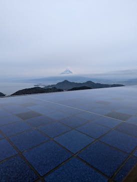 伊豆パノラマパークに投稿された画像（2022/1/23）