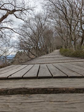 伊豆パノラマパークに投稿された画像（2022/1/23）