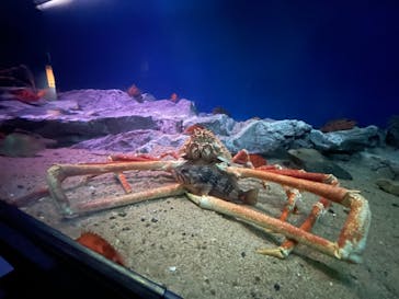 名古屋港水族館に投稿された画像（2022/1/23）