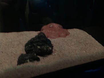 サンシャイン水族館に投稿された画像（2022/1/23）