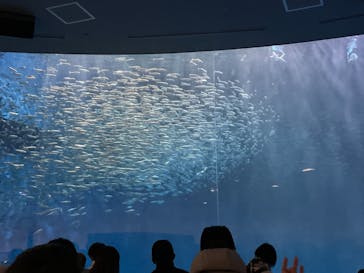 名古屋港水族館に投稿された画像（2022/1/23）