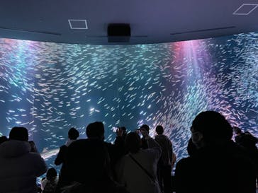 名古屋港水族館に投稿された画像（2022/1/23）