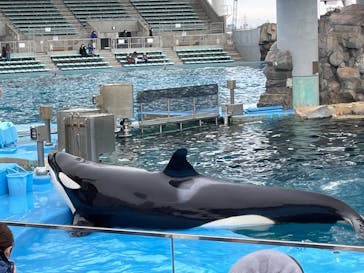 名古屋港水族館に投稿された画像（2022/1/23）