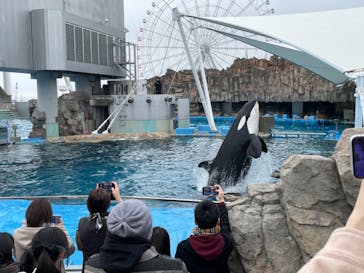 名古屋港水族館に投稿された画像（2022/1/23）