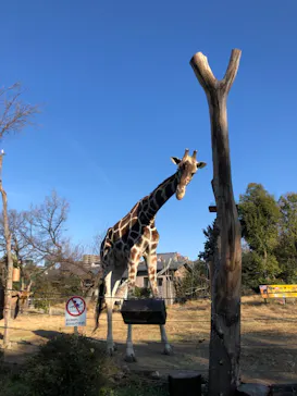 天王寺動物園に投稿された画像（2022/1/23）