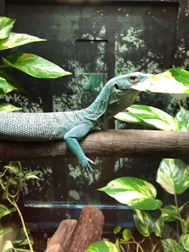 天王寺動物園に投稿された画像（2022/1/23）