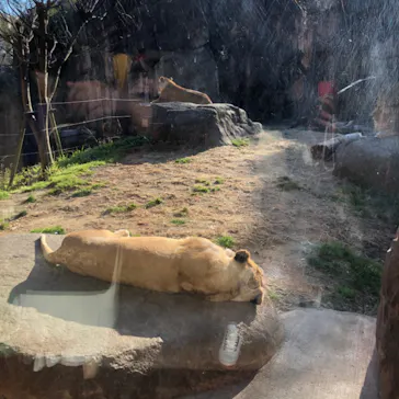 天王寺動物園に投稿された画像（2022/1/23）