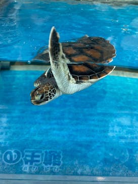 名古屋港水族館に投稿された画像（2022/1/23）