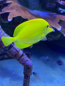 名古屋港水族館に投稿された画像（2022/1/23）