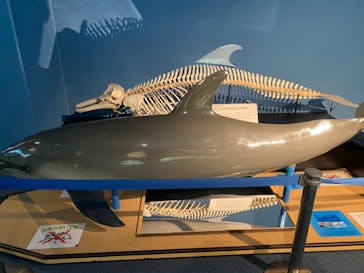 名古屋港水族館に投稿された画像（2022/1/23）