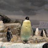 名古屋港水族館に投稿された画像（2022/1/23）