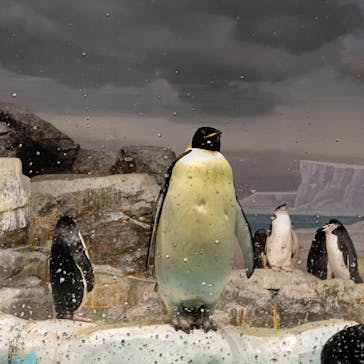 名古屋港水族館に投稿された画像（2022/1/23）