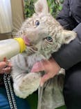 しろとり動物園に投稿された画像（2022/1/23）