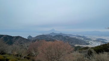 伊豆パノラマパークに投稿された画像（2022/1/23）