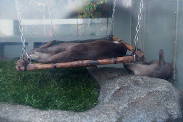 サンシャイン水族館に投稿された画像（2022/1/23）