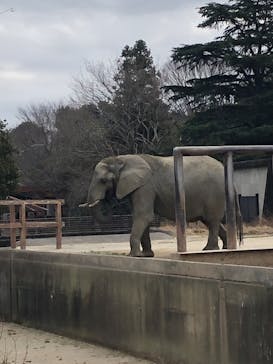 東武動物公園に投稿された画像（2022/1/23）