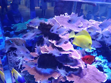 名古屋港水族館に投稿された画像（2022/1/23）