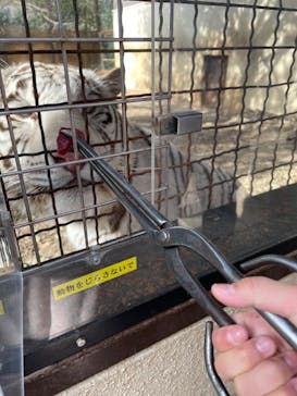 群馬サファリパークに投稿された画像（2022/1/23）