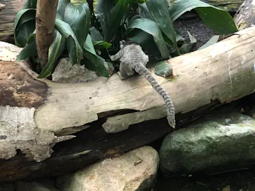 神戸どうぶつ王国に投稿された画像（2022/1/23）