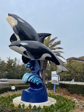 鴨川シーワールドに投稿された画像（2022/1/23）